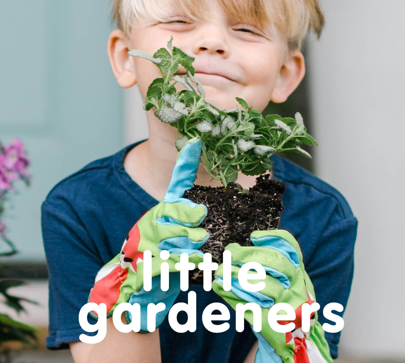 CH5057_Charter Hall_School Holidays_Gardening For Kids_Digital_682x612_FA